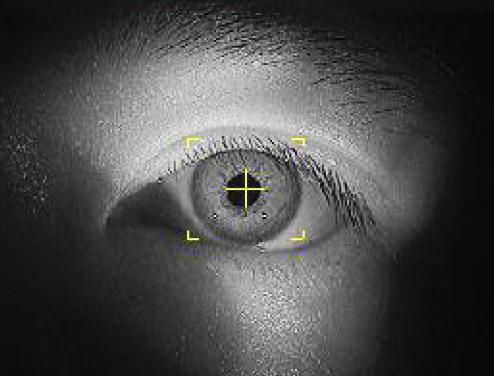 Image of eye tracking function of the HVF-100