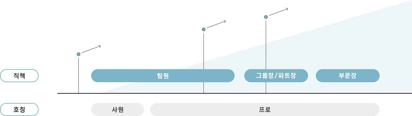 Company Employee Position and Title Classification Diagram