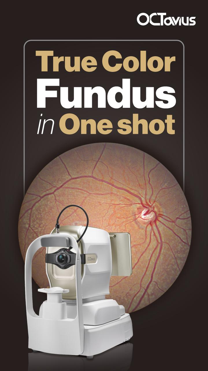 True Color Fundus in One Shot